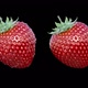 Strawberry Rotating  B In Full HD - VideoHive Item for Sale