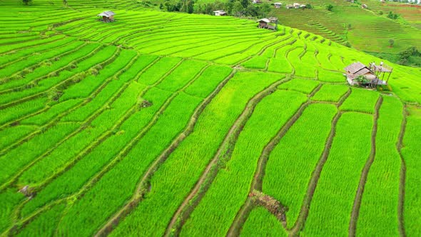 Drone view during golden hour of a rice terrace