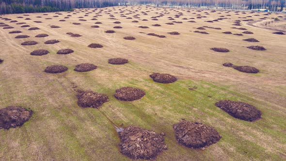 Round Heaps of Manure Lie on an Agricultural Field Aerial View