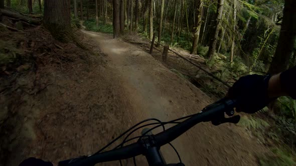 Extreme Mountain Biking Pov Fast Single Track Run