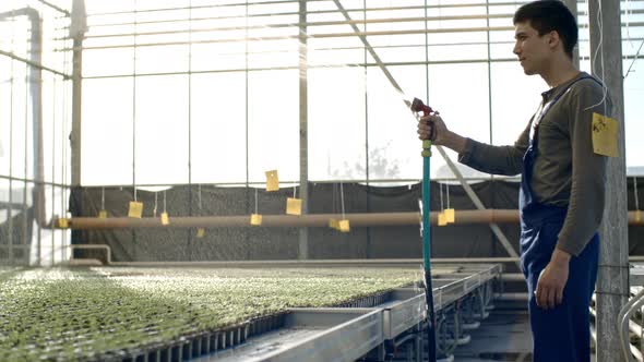Male Worker Watering Seedlings in Greenhouse