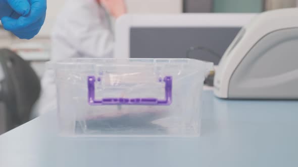 Vaccine Blood Sample is Taken From Container in Lab