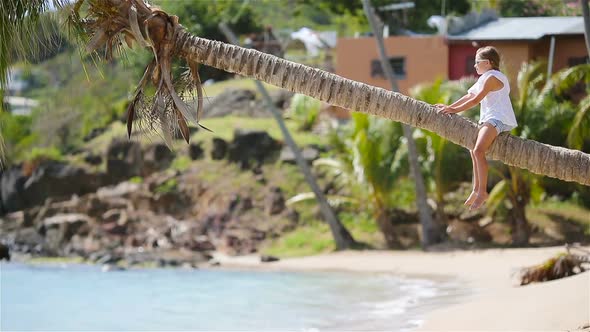 Little Girl at Tropical Beach Sitting on Palm Tree During Summer Vacation