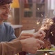 Happy Members of Family Holding Sparklers during Christmas Dinner - VideoHive Item for Sale