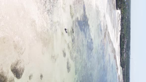 Vertical Video of Low Tide in the Ocean Near the Coast of Zanzibar Tanzania Aerial View