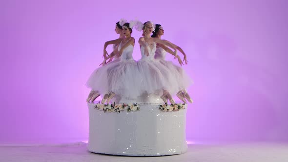 Charming Feminine Ballerinas Dressed As a White Swan Dance Sitting on the Top of a Cake Decorated