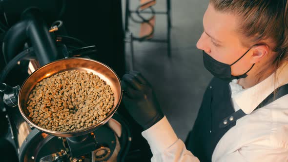 Unroasted Raw Coffee Beans are Poured Into the Automatic Coffee Roaster
