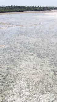 Tanzania  Vertical Video of the Ocean Near the Coast of Zanzibar Slow Motion