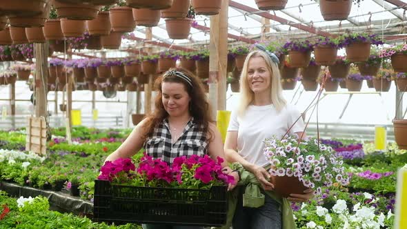 Female farmers stand between rows of flowers holding boxes  and looking camera