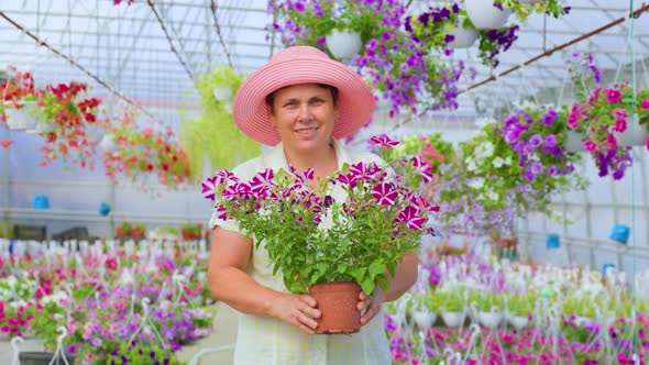 Nice Senior Female Florist Looking at Camera Stand in Greenhouse Smile Hold Hands Pot of Flower
