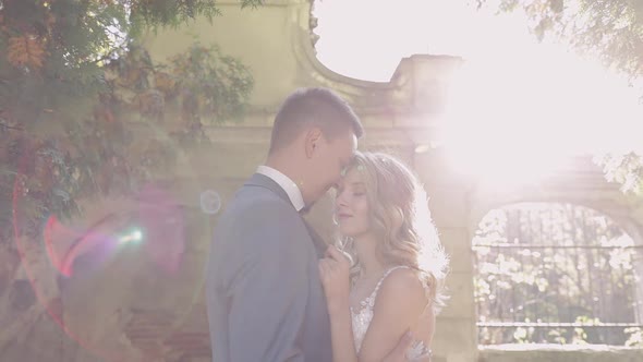 Wedding Couple. Lovely Groom and Bride. Happy Family. Man and Woman in Love