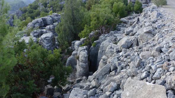 Beautiful Geological Formations and Green Trees