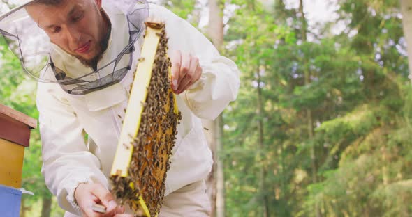 Young Male Bearded Beekeeper in White Protective Suit Staying Behind the Hive with Bee Hive Tool in