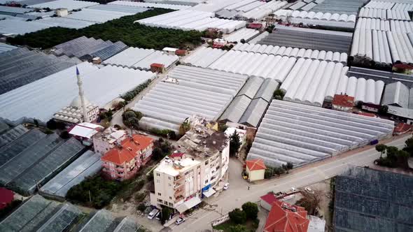 High angle drone aerial view of greenhouse fields of greens plantation in Demre, Turkey