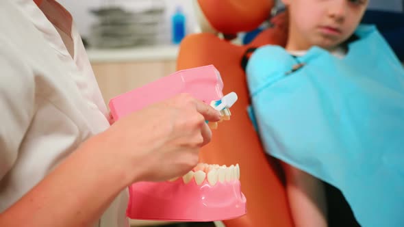 Close Up of Dentist Demonstrating Professional Brushing of Teeth