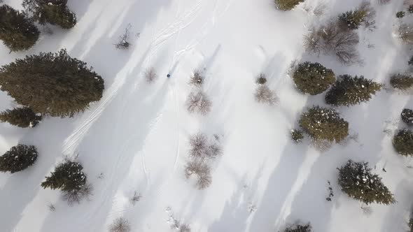 Freeride In The Forest