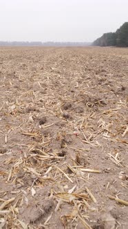 Vertical Video of a Field with Plowed Land in Autumn Slow Motion