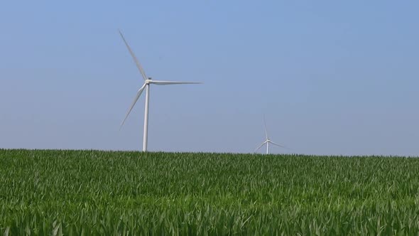 A clean clear day with giant wind turbines over an Iowa cornfield in the heartland of America.