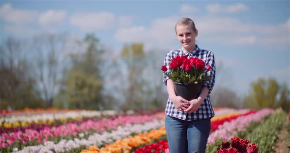 Woman Holding Tulips Bouquet in Hands While Walking on Tulips Field