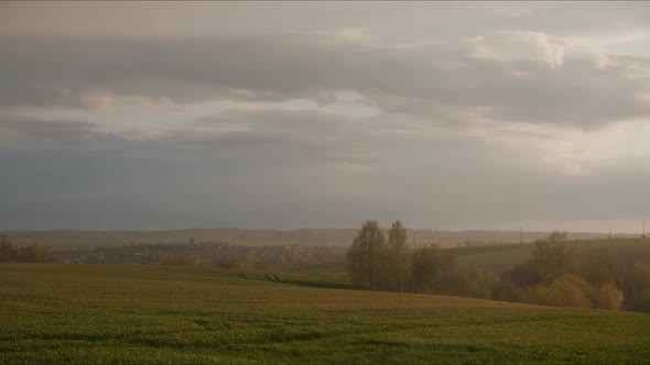 Timelapse Of A Wheat Field At Sunset. Countryside