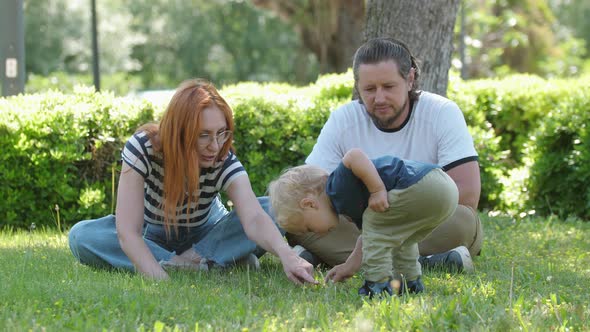 Family Spend Time in the Green Park  Little Boy Collecting Grass and Puts It in His Mother Hands