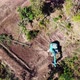 The top view of the deforestation. - VideoHive Item for Sale