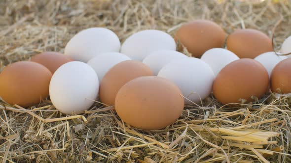 Chicken Eggs on Fresh Hay