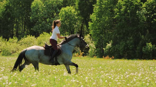 Young Woman Riding Gray Horse in Field at Summer Sunny Day Equestrian Training