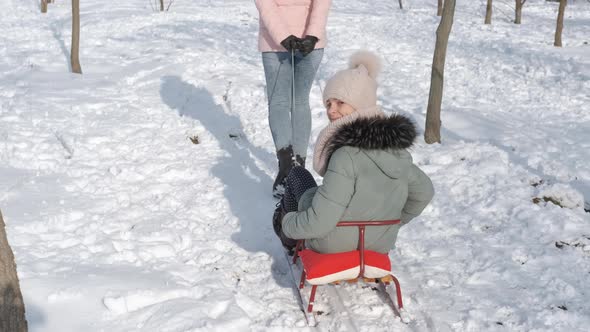 Winter Fun in the Sleigh