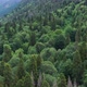 Aerial view on the Beautiful mountains forest - VideoHive Item for Sale