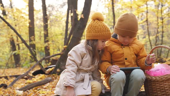 Children Spending Time with Mobile Phone in Forest
