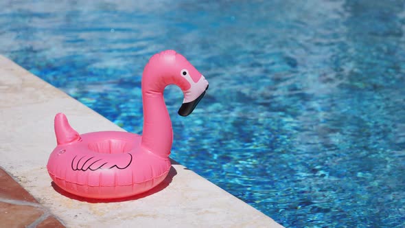 Inflatable Toy of Pink Flamingo Near Swimming Pool at Poolside