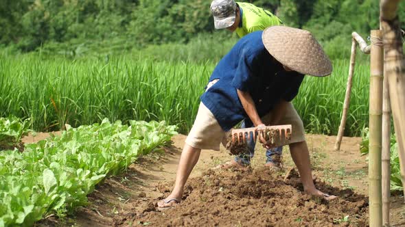 Farmers Raking Soil