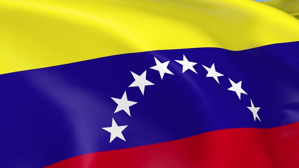 Venezuela Flag