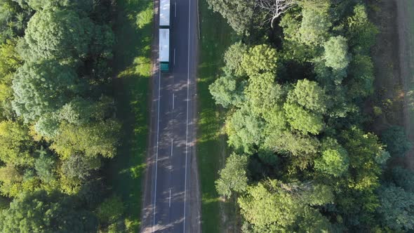 Flying along the road between threes with driving vehicles