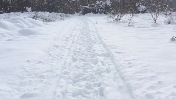 Slow flight above snowed forest trail 4K drone video