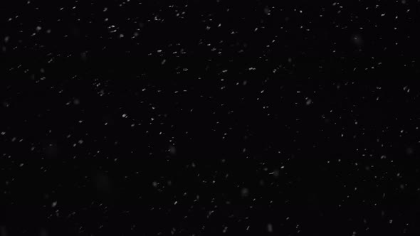 Snow Falling Over Black Background or Night Sky