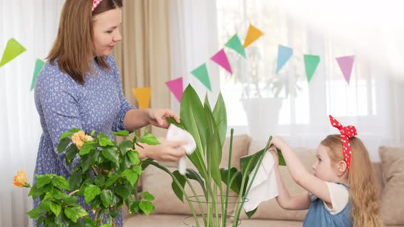 a Mother and Daughter Wipe the Leaves of Houseplants with a Damp Cloth