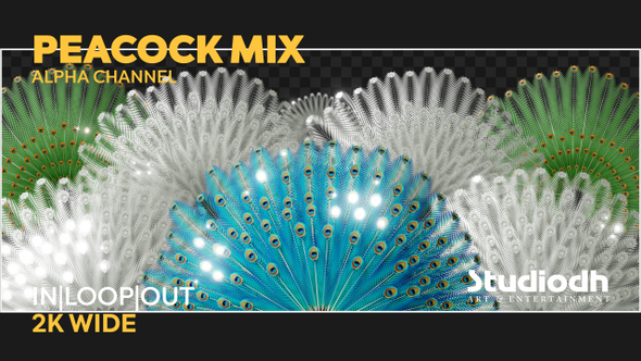 Peacock Mix