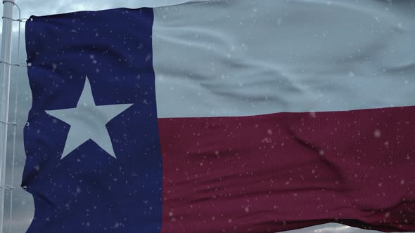 Texas Winter Flag with Snowflakes Background