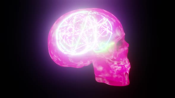 Purple Pink Skull With Neon Brain Background HD