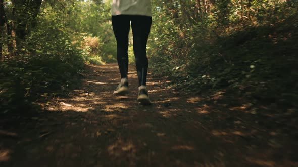 A Woman in Sports Clothes Runs Through a Summer Forest