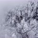 Fly Above The Snowy And Foggy Mountain Forest - VideoHive Item for Sale