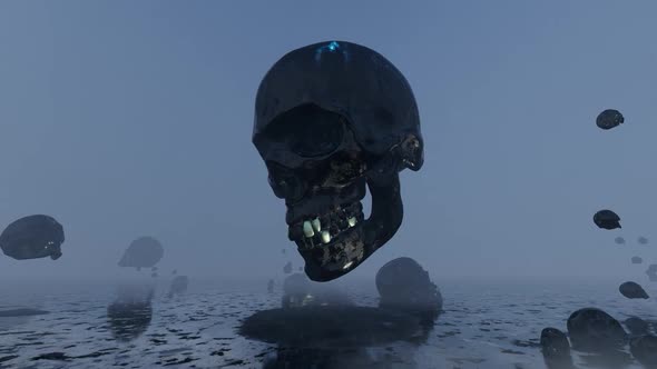 Foggy Skulls