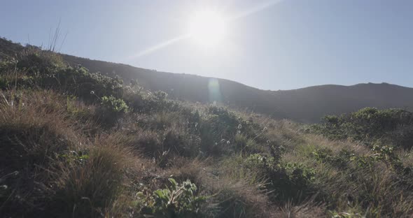 Expansive landscape of California coastal field in the morning. Shot on Canon R5