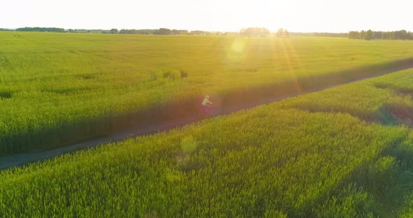 Aerial View on Young Boy, That Rides a Bicycle Thru a Wheat Grass Field on the Old Rural Road