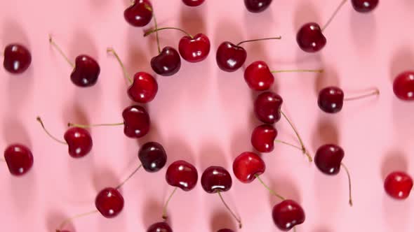 Fresh sweet cherry on pink background 360 degrees rotation, flat lay