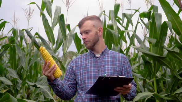 A Plant Specialist with Notebook, Checking the Field Corn a Background of Greenery. Concept Ecology