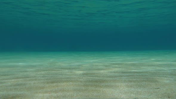 Underwater Blue Ocean Background with Sandy Sea Bottom