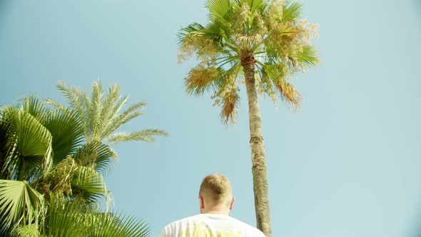 a Man is Studying the Surroundings Against the Background of a Palm and an Endless Blue Sky